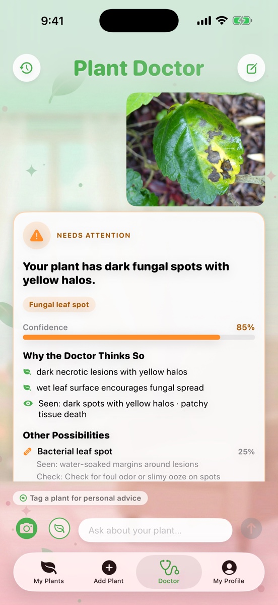 Hari Plant Doctor showing a server-side AI diagnosis of a leaf with fungal leaf spot and a confidence score